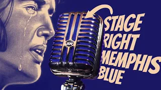 Stage Right Memphis Blue Microphone Review