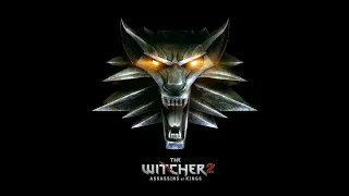 The Witcher 2: Assassins of Kings l Прохождение,часть 23 l Победа Саскии/Лок Муинне.