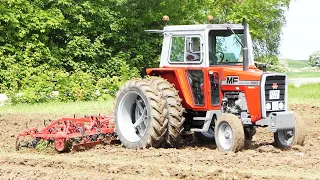 Massey Ferguson 590 & 3060 in the field cultivating and ploughing the field at Ferguson Days 2022