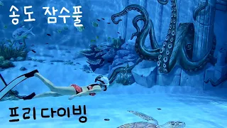 새단장한 송도 잠수풀에서 평생 버디와 프리다이빙 연습