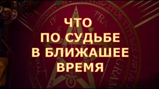 🎯 ЧТО ПО СУДЬБЕ СЕЙЧАС ВАЖНЫЕ МОМЕНТЫ Таро знаки судьбы прогноз на ближайшее будущее #tarot