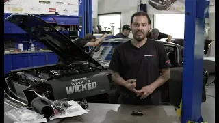 Golden Star Week to Wicked – '67 Mustang Fastback Full Episode