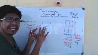 Ion exchange chromatography | cation exchange chromatography and anion exchange chromatography