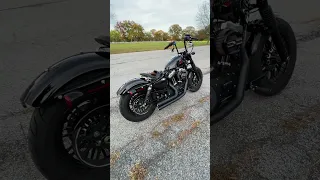 Why did I choose the Cobra Speedster 909 for my Harley Davidson 48?