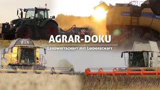 Farming with passion | Grain harvest 2023 | Documentation - Soester Börde