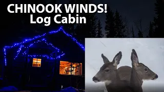 Log Cabin Chinook Winds an Old Saw & Riverside Coffee in The Rocky Mountains Canada