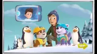 Щенячий патруль  Снежная лавина. PAW  PATROL SNOW SLIDE