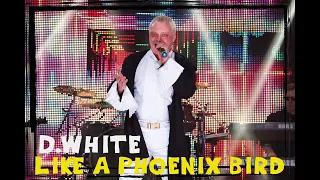 D.White - Like A Phoenix Bird (Concert Video). NEW Italo Disco, Euro disco, Super music of 80-90s