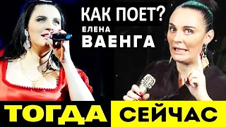 Как поет Елена Ваенга? Почему спрятали ее голос? Что говорят критики? Как надо петь русский шансон?