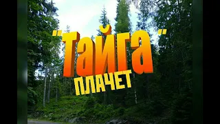 ПЛАЧЕТ ТАЙГА. Жёсткий Шансон🤛👊🤜💥💥💥#шансон#шансонье#zloyosa#хит#блатнаямузыка