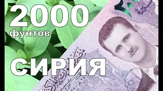 Обзор коллекции банкнот Сирия 2000 фунтов 2015 Башар Асад