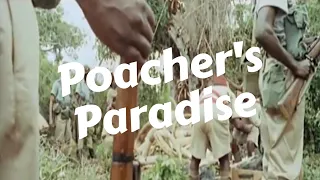 Poacher's Paradise - Postcolonial Africa '63-'64