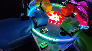 Hungry Hungry Hippos | Dave & Buster's - Bellevue, WA (February 7, 2022)