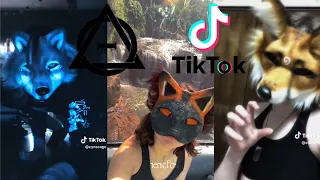 Therian and Quadrobics TikToks || Compilation 🐾🍂 || Alterhumans of TikTok #60