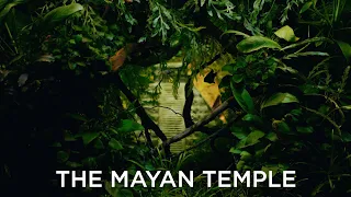 The Mayan Temple - Abandoned temple in a beautiful aquascape