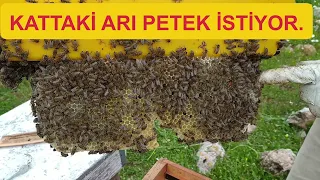 KATA GİDEN DE, OĞULA YATAN DA VAR.