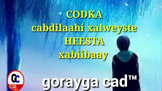 Cabdilaahi xalweyste hees xabiibaay original song