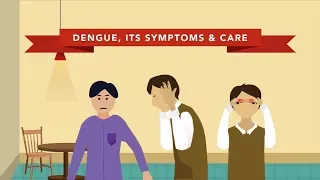 The Symptoms of Dengue