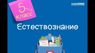 Естествознание. 5 класс. Теплоизоляция зданий. Превращение энергии /02.03.2021/