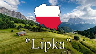 "Lipka" - Polish Folk Song