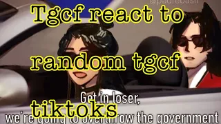 Tgcf react to random tgcf tiktoks
