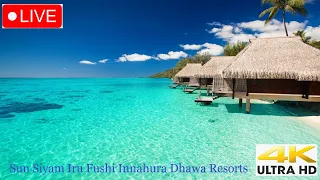 Maldives 4k Uhd Hdr - Sun Siyam Iru Fushi Innahura Dhawa Resorts #travelvlog #trending #maldives