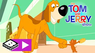 Tom & Jerry | Die königliche Wache | Cartoonito