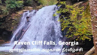 | Raven cliffs falls trail | ரேவன் க்ளிஃப் ஃபாள்ஸ்| Beautiful waterfalls | 4k UHD|