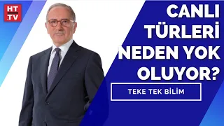 "Olağanüstü Kuraklık" ne demek? | Teke Tek Bilim - 22 Ağustos 2021