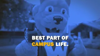 Best Part of Campus Life. | Webster University
