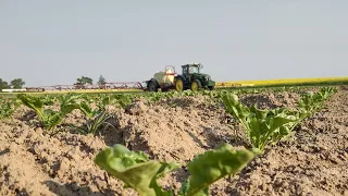 Dożywianie buraka cukrowego 2023/JohnDeere7830/HardiCommander6000