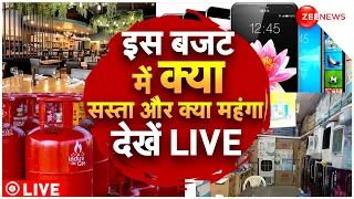 Budget 2024 Live Updates : इस बजट में क्या सस्ता और क्या महंगा देखें LIVE | Nirmala Sitharaman