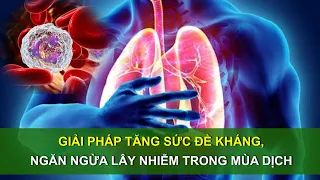 Giải pháp tăng cường sức đề kháng,  ngừa lây nhiễm trong mùa dịch | Sức khoẻ vàng VTC16