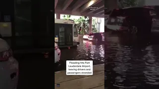 Heavy rain unleashes major flooding at Fort Lauderdale Airport #shorts