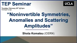 Shota Komatsu (CERN), "Noninvertible Symmetries, Anomalies and Scattering Amplitudes”