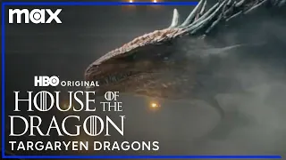 House Targaryen & Their Dragons | House of the Dragon | Max