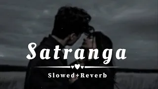 ANIMAL : Satranga || Lofi Lyrics ( Slowed + Reverb ) Feel The music || Use Headphones 🎧