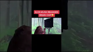 Elon Musk RELEASES brain chip! #shorts #elonmusk #neuralink