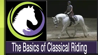 The Basics of Classical Riding: Achieving Balance Through Rhythm, Suppleness & Contact