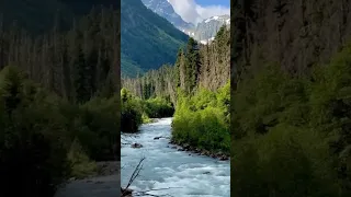 Nature of the Caucasus Gonachkhir River Dombay, Teberda Karachay-Cherkessia Russia📍#shorts