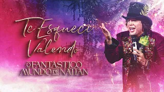 Te Esqueci Valendo - Nattan (DVD AO VIVO)