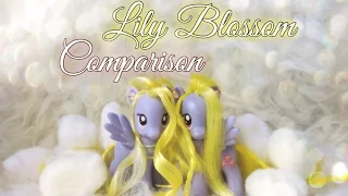 Сравнение Лили Блоссом // Lily Blossom Comparison // ФОНД ЗАЩИТЫ БЮДЖЕТНЫХ ПОНИ