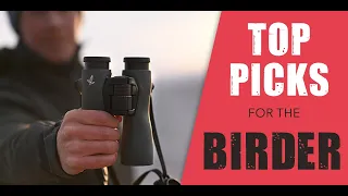 Best Binoculars for Birding