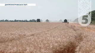 🌾Врожай ПЕРЕМОГИ! Жнива у розпалі на Дніпропетровщині! Розміновані поля дають гарний врожай!