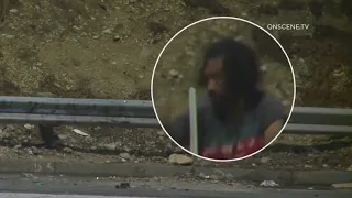 Man throws rocks on 110 Freeway in LA