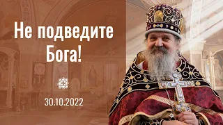 Проповедь о. Андрея Лемешонка после Литургии 30 октября 2022 г.