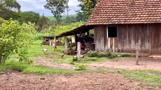 O simples prazer de viver na roça junto à natureza e fazendo aquilo que gosta…