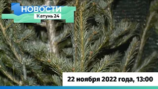 Выпуск новостей в 13:00, 22 ноября 2022 года