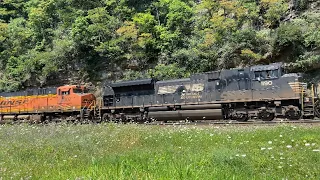 Lot's of foreign power, horn shows, and more! Railfanning Altoona, HSC, and Gallitzin!