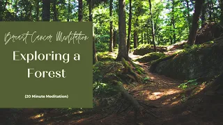 Guided Meditation for Breast Cancer: Exploring a Forest